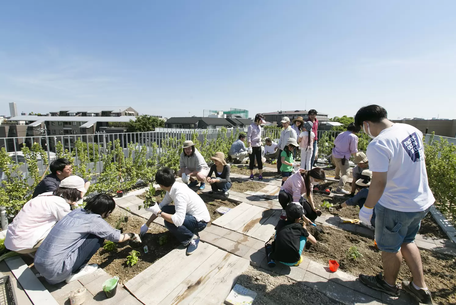 屋上に共用の菜園を設けた９世帯のコーポラティブハウス。様々なしかけでコミュニティ形成を促します。