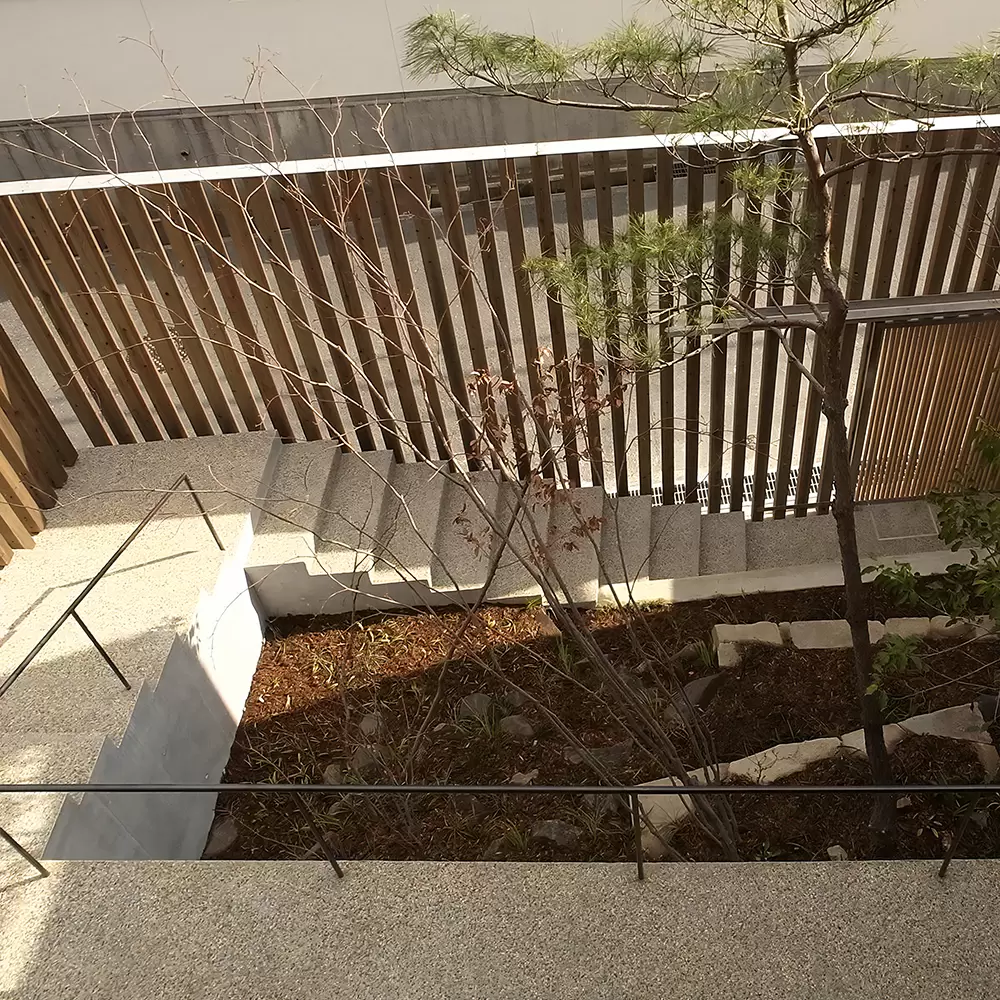 緩やかに開かれた中庭のある家|杉格子の家