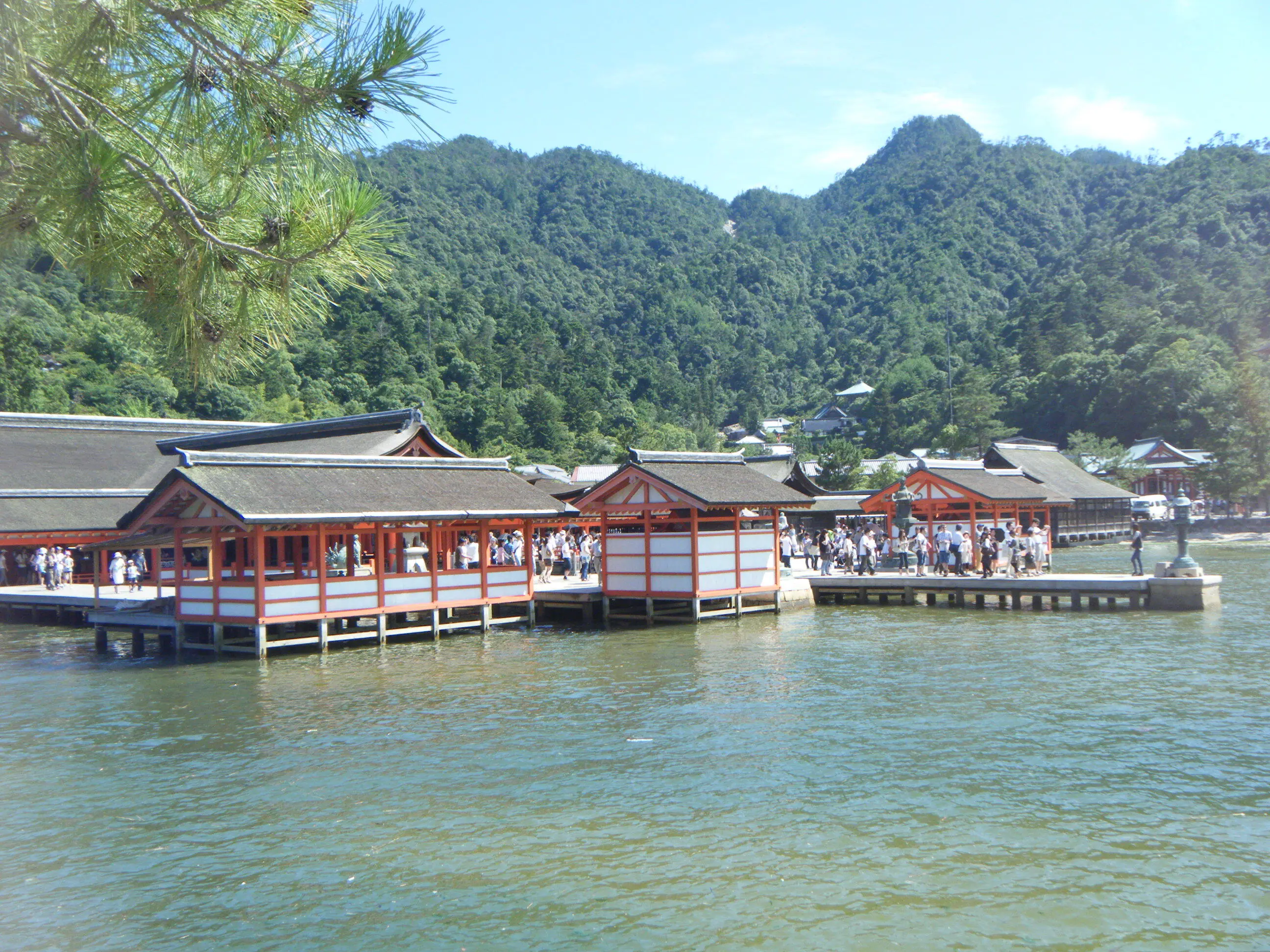 エコアコールウッド採用実績（厳島神社）